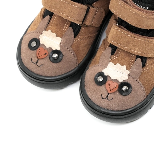 andy_alpaca_karmel_3b.jpg