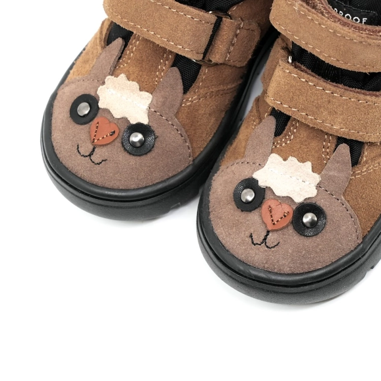 andy_alpaca_karmel_3b.jpg
