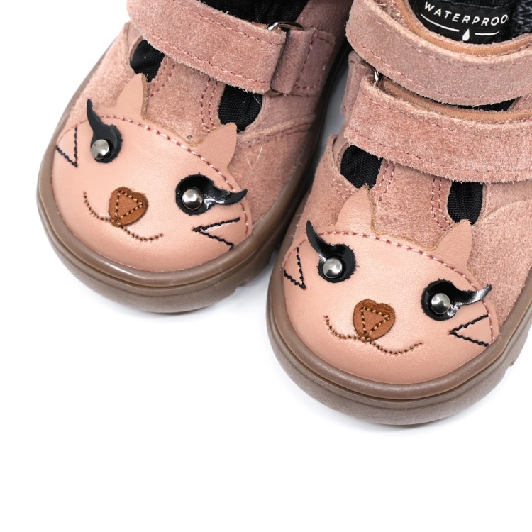 andy_kitty_rosa_3 2.jpg