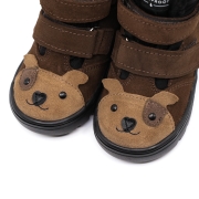 mali_puppy_mokka_3.jpg