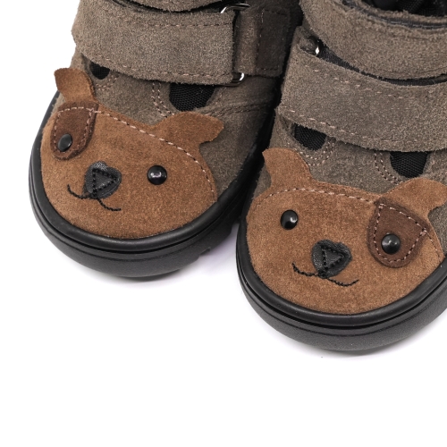 mali_puppy_grey_3.jpg