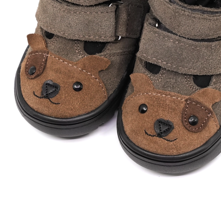 mali_puppy_grey_3.jpg